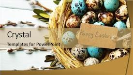  Presentation with bird eggs - Cool new presentation design with christian cars - bird eggs in nest backdrop and a yellow colored foreground