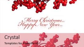  Presentation with holly - Presentation theme having christian christmas - european holly isolated on white background and a coral colored foreground