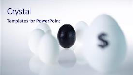  Presentation with eggs egg carton egg box - Colorful slide deck enhanced with christian finance - image of black egg backdrop and a  colored foreground