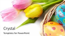  Presentation with composition of earth - Theme featuring christian religion - composition of tulip bouquet background and a white colored foreground