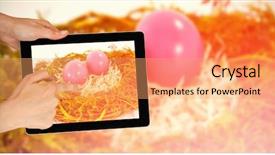  Presentation with pink white - Audience pleasing presentation theme consisting of christian web - hands touching digital tablet backdrop and a  colored foreground