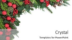  Presentation with cedar - Presentation theme consisting of christmas abstract background border with red bauble decorations holly ivy pine cones cedar cypress and fir over white background and a white colored foreground