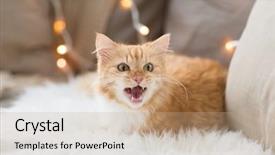  Presentation with christmas red - PPT layouts consisting of christmas and hygge concept - red background and a coral colored foreground