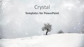  Presentation with christmas magic - Slide set featuring christmas and new year background with winter trees in mountains covered with fresh snow - magic holiday background background and a sky blue colored foreground