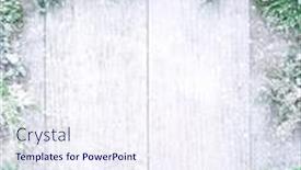  Presentation with christmas holly - Colorful slide deck enhanced with christmas-and-new-year-background backdrop and a sky blue colored foreground