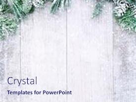 Conifer Christmas And New Year Background PPT template 37 | CrystalGraphics