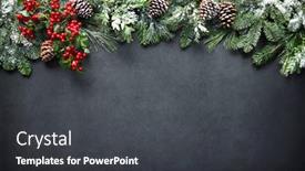  Presentation with christmas holly - Amazing slide set having christmas-and-new-year-background backdrop and a dark gray colored foreground