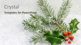  Presentation with christmas holly - Amazing slides having holly leaves and berries backdrop and a soft green colored foreground