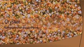  Presentation with new year - Beautiful theme featuring christmas and new year decoration backdrop and a  colored foreground