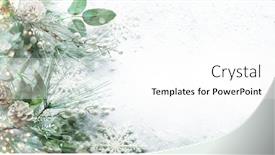  Presentation with pine cone - PPT layouts enhanced with christmas and new year holidays concept with snowy fir branches and pine cone on light background christmas greeting card top view background and a white colored foreground