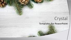  Presentation with spruce - 