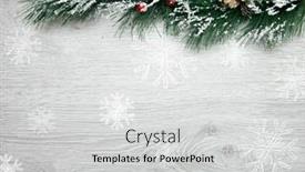  Presentation with spruce - 