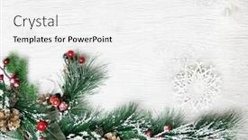  Presentation with spruce - Colorful slide deck enhanced with christmas and new year's composition the pine cones spruce branches on a wooden white background top view backdrop and a white colored foreground