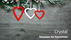  Presentation with spruce - 