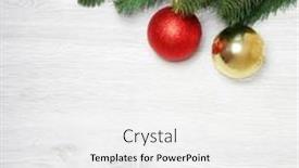  Presentation with spruce - 