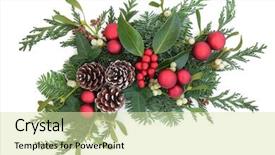  Presentation with christmas holly - Slide deck consisting of christmas and winter decoration with holly red baubles mistletoe ivy fir and cedar leaf sprigs with pine cones over white background background and a soft green colored foreground
