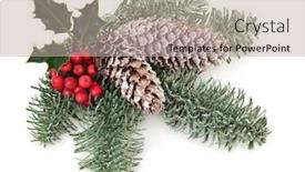  Presentation with christmas holly - Colorful PPT layouts enhanced with pinecones - christmas and winter decoration backdrop and a mint green colored foreground
