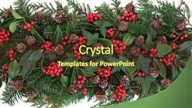  Presentation with spruce - Audience pleasing presentation theme consisting of christmas and winter flora backdrop and a  colored foreground