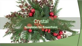  Presentation with christmas red - Slide deck having christmas and winter flora background and a tawny brown colored foreground
