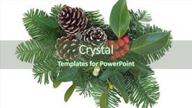  Presentation with christmas holly - Amazing presentation theme having christmas and winter greenery backdrop and a ocean colored foreground