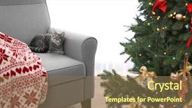  Presentation with cat - Amazing theme having christmas animals - grey tabby cat lying backdrop and a violet colored foreground