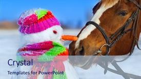  Presentation with animals winter - PPT theme enhanced with christmas animals - portrait of horse and snowman background and a sky blue colored foreground