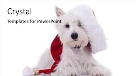  Presentation with puppy - PPT theme featuring christmas animals - white puppy dresed in santa background and a white colored foreground