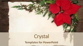 Presentation with flower border - Slide deck enhanced with christmas background border with poinsettia background and a lemonade colored foreground