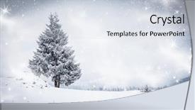  Presentation with christmas magic - Colorful PPT theme enhanced with christmas background of snowy winter backdrop and a sky blue colored foreground