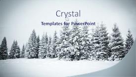  Presentation with christmas magic - Presentation theme with christmas background of snowy winter landscape with snow or hoarfrost covered fir trees - winter magic holiday background and a sky blue colored foreground