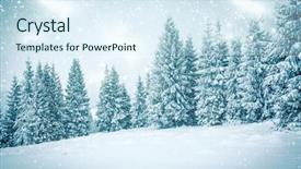  Presentation with christmas magic - Slides featuring christmas background of snowy winter landscape with snow or hoarfrost covered fir trees and copy space - winter magic holiday background and a sky blue colored foreground