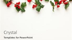 Presentation with christmas holly - Presentation theme consisting of christmas background with branches background and a cream colored foreground