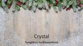  Presentation with fir tree - Amazing slides having christmas background with fir tree backdrop and a light gray colored foreground