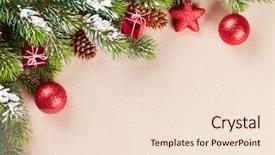  Presentation with snow tree cicular - Audience pleasing theme consisting of christmas background with snow fir backdrop and a  colored foreground