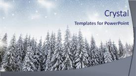  Presentation with snow covered trees and falling - Audience pleasing PPT theme consisting of christmas background with snowy fir backdrop and a  colored foreground
