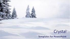  Presentation with snow covered trees and falling - Colorful PPT layouts enhanced with christmas background with snowy fir backdrop and a sky blue colored foreground