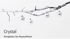  Presentation with minimalist - PPT layouts with christmas baubles on branch simple background and a white colored foreground
