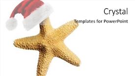  Presentation with starfish - Presentation design consisting of christmas beach - santa claus hat on starfish background and a white colored foreground