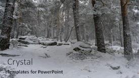  Presentation with fog - PPT theme featuring christmas-beautiful-landscape-of-snowy background and a light gray colored foreground