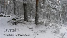  Presentation with fog - Slides enhanced with christmas-beautiful-landscape-of-snowy background and a light gray colored foreground