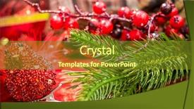  Presentation with spruce - Beautiful theme featuring christmas berries and spruce branch backdrop and a tawny brown colored foreground