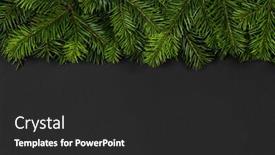  Presentation with frost border on ice christmas - Beautiful slides featuring christmas-border-arranged-with-fresh backdrop and a dark gray colored foreground