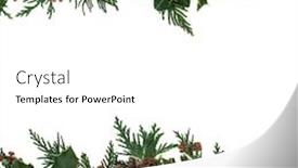  Presentation with pine cone - Beautiful PPT layouts featuring christmas-border-background-green-holly backdrop and a white colored foreground