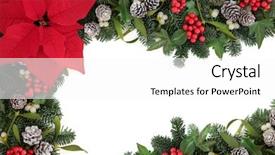  Presentation with white snow - Cool new slide deck with christmas border with red poinsettia backdrop and a white colored foreground