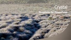  Presentation with frozen - Beautiful presentation theme featuring christmas botanical - frozen late autumn meadow close backdrop and a gray colored foreground
