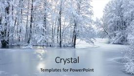  Presentation with safari park beautiful wildlife animal - PPT layouts having christmas bush - beautiful winter park background and a  colored foreground