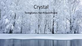  Presentation with park - PPT theme enhanced with christmas bush - beautiful winter park background and a  colored foreground