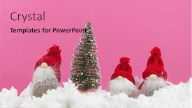  Presentation with christmas card - Amazing presentation theme having christmas-card-made-of-fir backdrop and a coral colored foreground