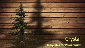  Presentation with christmas card - Beautiful slides featuring christmas card tree in wooden backdrop and a tawny brown colored foreground