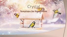  Presentation with christmas card - Colorful PPT theme enhanced with christmas card with birds backdrop and a lemonade colored foreground